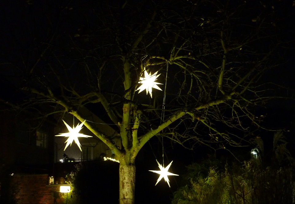 Drei Sterne im Baum